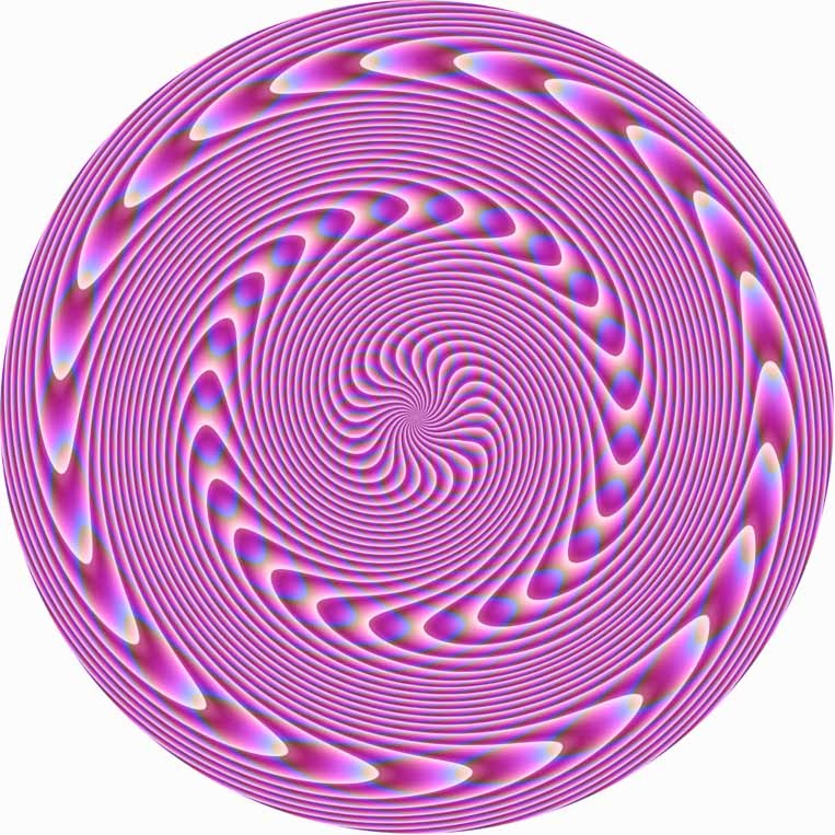 Contradictorio o Complementario