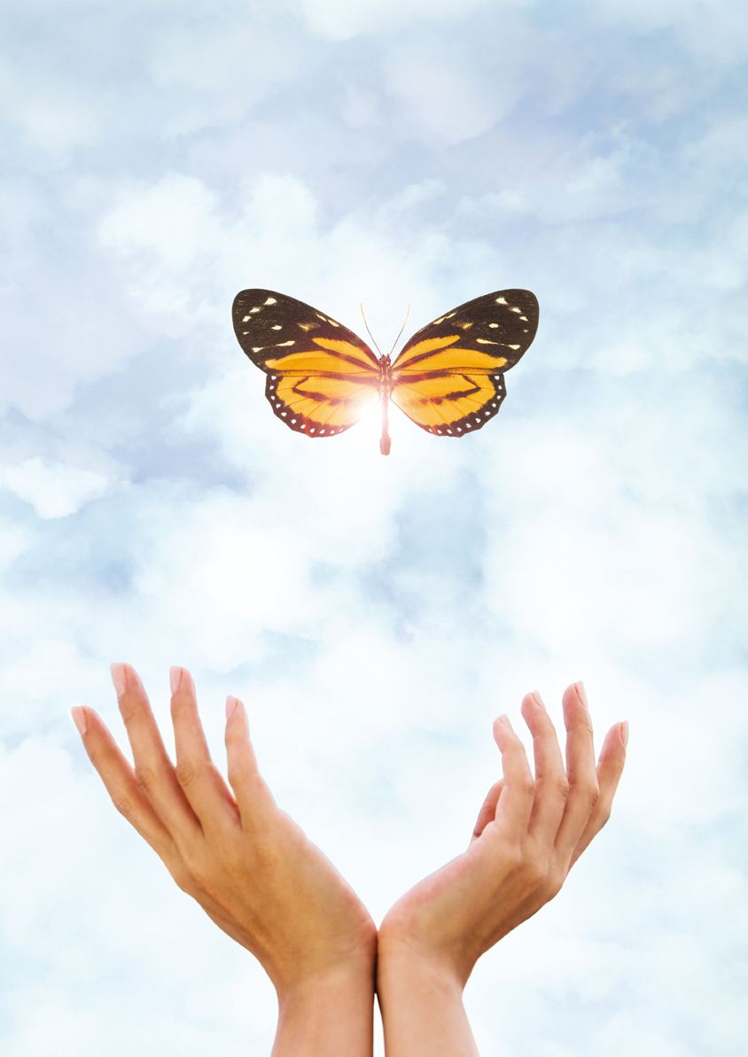 Hands releasing butterfly